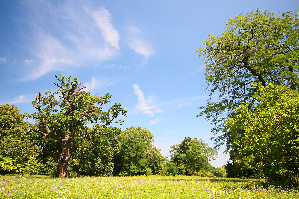 Zamecky park 08, Lednice.jpg